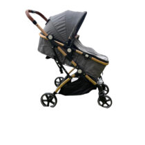 Coche Moises de Bebe viajero Small